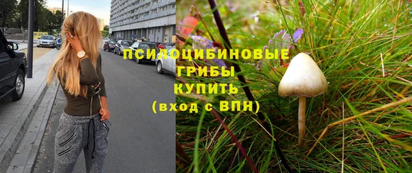 метадон Верея